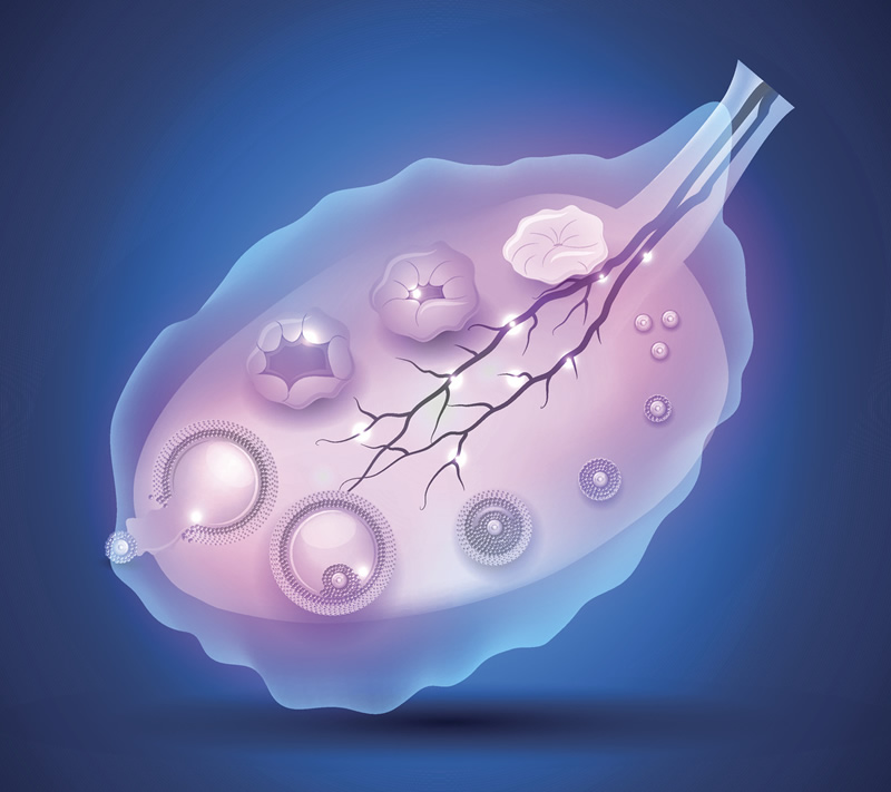 没结婚证能做试管婴儿吗？西安安琪儿妇产医院试管是不是接受未婚人士？